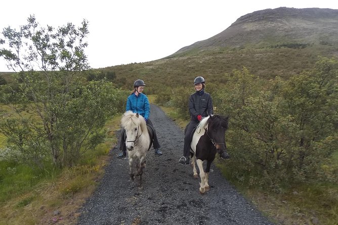 1+ hour Private Horse riding tour from Reykjavík/Mosfellsbær - Key points you will care about