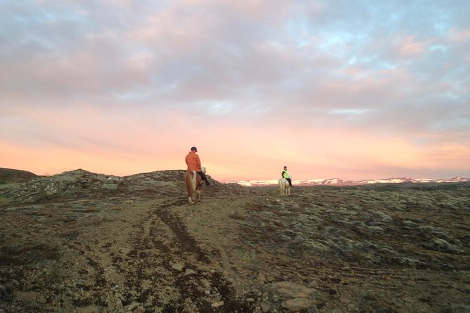 1+ hour Private Horse riding tour from Reykjavík/Mosfellsbær - The ride itself: tailored gaits, tolt practice, and real time outdoors