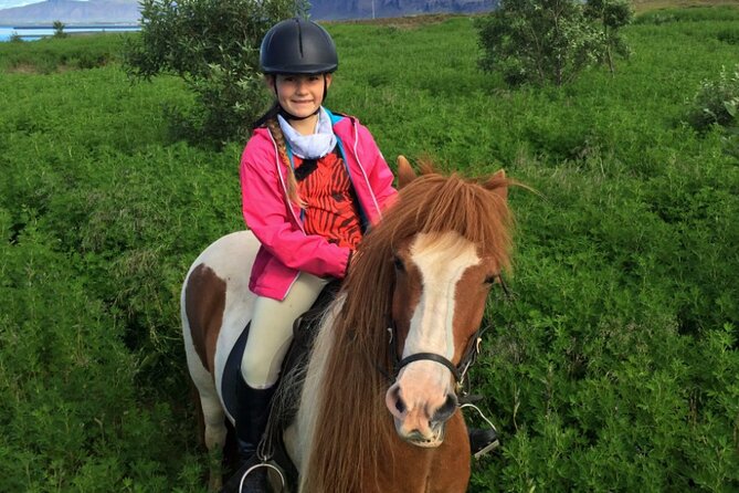 1+ hour Private Horse riding tour from Reykjavík/Mosfellsbær - How to judge if this is the right tour for your trip
