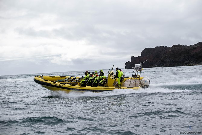 1-Hour Small Group Sightseeing Boat Tour in Vestmannaeyjar - Price and Value: Is $169.31 for One Hour Worth It?