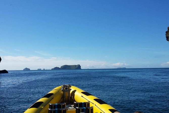 1-Hour Small Group Sightseeing Boat Tour in Vestmannaeyjar - Timing, Departures, and the Real Schedule Impact