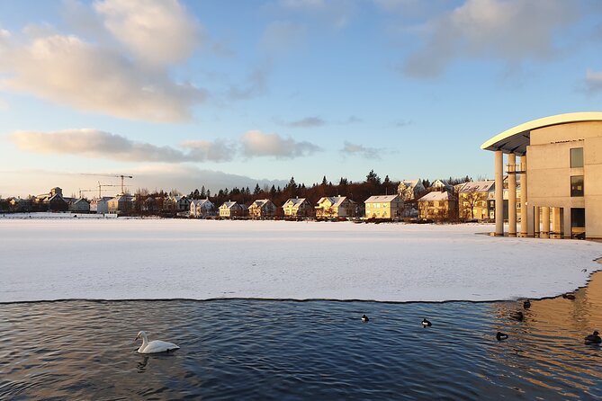 2-Hour Reykjavik Private Walking Tour - Price, value, and who pays the most (and least)