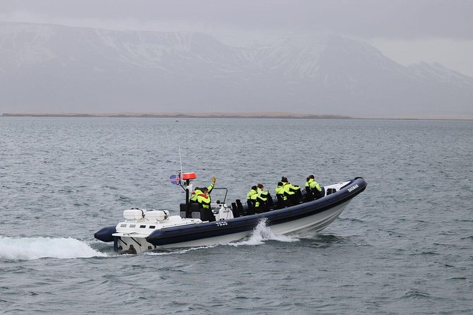 2-Hour RIB Boat Whale Watching Tour from Reykjavik - Key highlights I’d circle