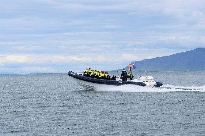 2-Hour RIB Boat Whale Watching Tour from Reykjavik - Inside the boat: comfort, speed, and who should think twice