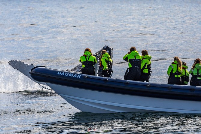 2-Hour RIB Boat Whale Watching Tour from Reykjavik - Guides and captains: why the human element shows up