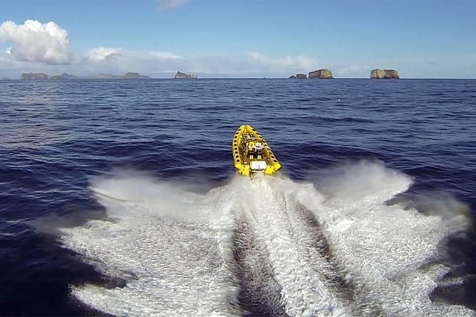 2 hour Round Trip in Vestmannaeyjar on a RIB Boat - Quick highlights for your Vestmannaeyjar RIB safari