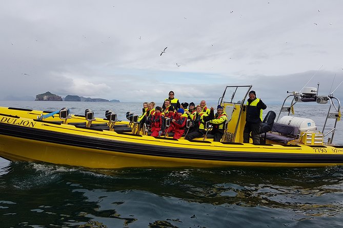 2 hour Round Trip in Vestmannaeyjar on a RIB Boat - Out to the farther islands: going for Súlnasker gannets