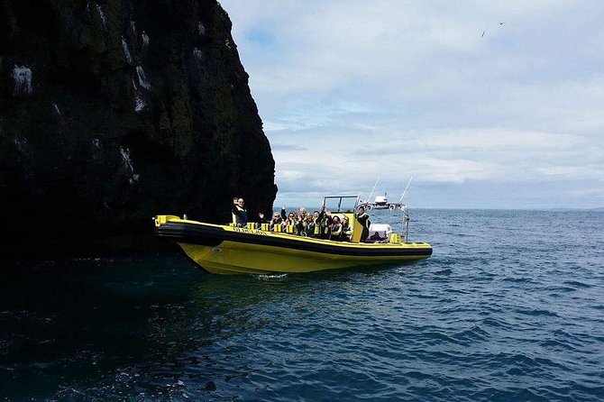 2 hour Round Trip in Vestmannaeyjar on a RIB Boat - Clothing and comfort: float suits, life jackets, and what to bring