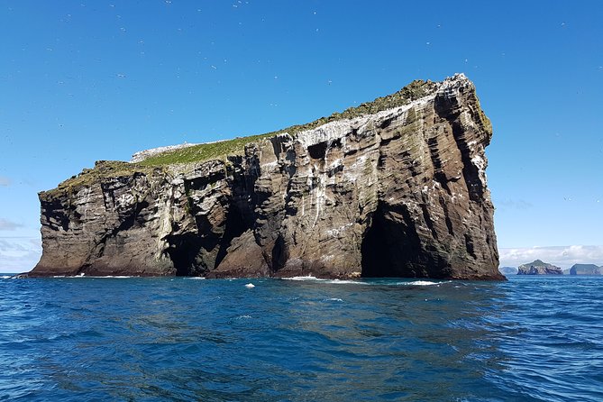 2 hour Round Trip in Vestmannaeyjar on a RIB Boat - Price and value: what $247.39 buys in a 2-hour sprint