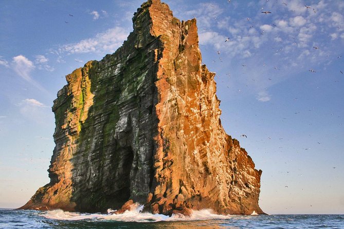 2 hour Round Trip in Vestmannaeyjar on a RIB Boat - Tangagata 7 check-in: the 30-minute head start you’ll be glad you took