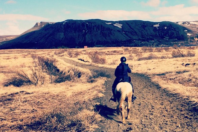 2 hours Private Horse Riding to Lake Hafravatn, Reykjavík - Mos - Key things that make this ride work