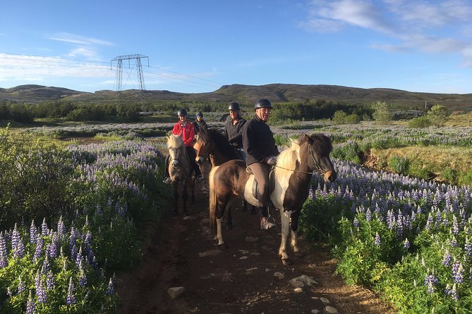 2 hours Private Horse Riding to Lake Hafravatn, Reykjavík - Mos - The ride itself: Timing, distance of effort, and what you control