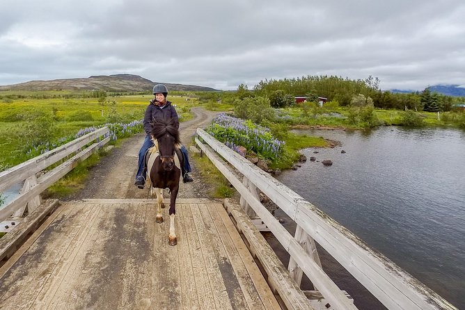 2 hours Private Horse Riding to Lake Hafravatn, Reykjavík - Mos - What you’re paying for: value of a private Icelandic horse ride near Reykjavík