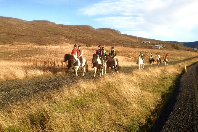2 hours Private Horse Riding to Lake Hafravatn, Reykjavík - Mos - Practical logistics that matter on riding days