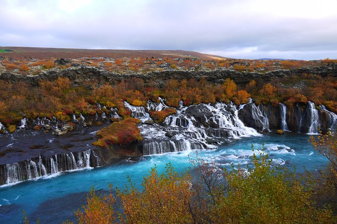 6-Day Around Iceland Small-Group Tour from Reykjavik with Accomm - Reykjavik pickup, 8:00 am start, and onboard Wi‑Fi that actually helps