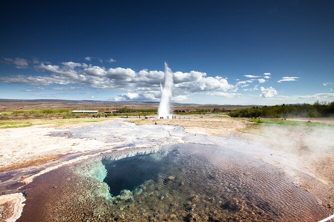 6 Day Iceland Ring Road Highlights Tour With Accommodation - Day 5: Akureyri whale watching option, plus Hvítserkur and Kolugljúfur