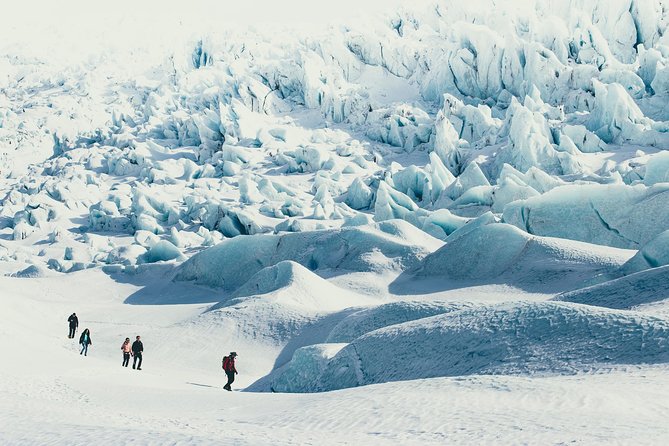 6-Day Summer Ring Route of Iceland Small-Group Tour - Day 6: Akureyri plus optional whale watching from Hauganes