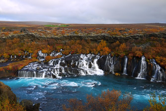 7-Day Complete Iceland: South Coast, Golden Circle, Akureyri & Snaefellsnes - Day 5: Akureyri, whale watching from Dalvik, and Siglufjörður