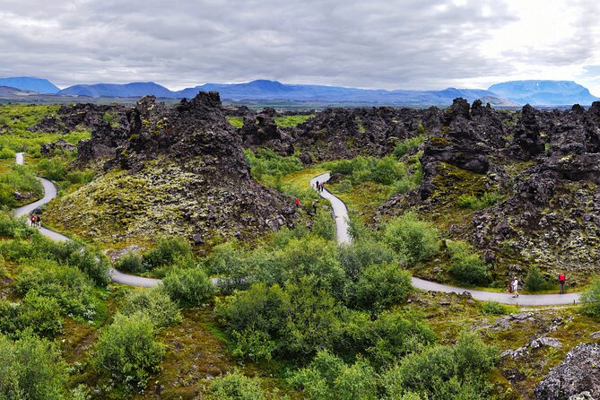 7-Day Small Group Journey Around Iceland - Waterfall Day: Black Sand Puffins, Skógafoss Rainbows, and Wet-Walk Choices