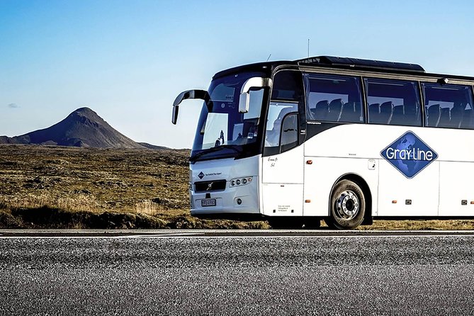 Airport Express Shared Departure Transfer from Reykjavik Hotels to Keflavik Airport - Reykjavik Hotel-to-KEF, Without the Taxi Price Tag