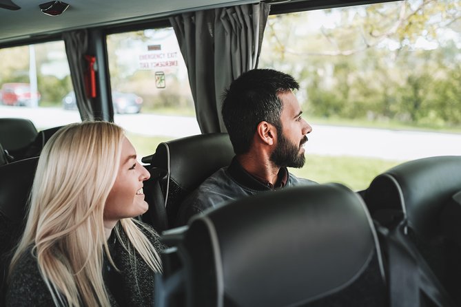 Airport Transfer in Iceland from Keflavik Airport to Reykjavik City one way - Why This Keflavik Transfer Works When Flights Land