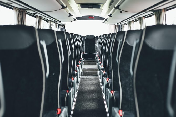 Airport Transfer in Iceland from Keflavik Airport to Reykjavik City one way - Reykjavík Terminal Drop-Off: Where You End Up (and What It Means)