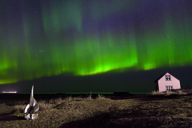 Blue Lagoon and Northern Lights Tour Including Admission - Who this tour fits best (and who should rethink)