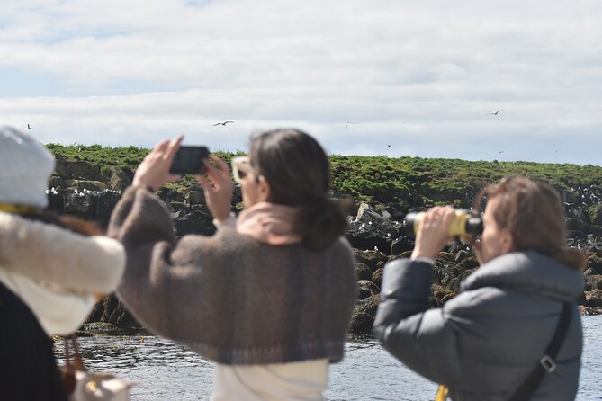 Classic Puffin Watching Cruise from Downtown Reykjavík - The Puffin Island Stop: Engey, Akurey, or Lundey From Sea Level