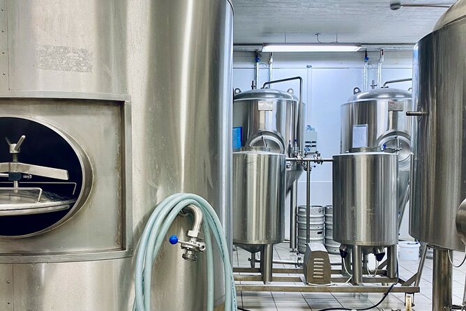 Craft Beer and Brewery Tour in Iceland - Your tasting flight: five 200 ml beers with real flavor clues
