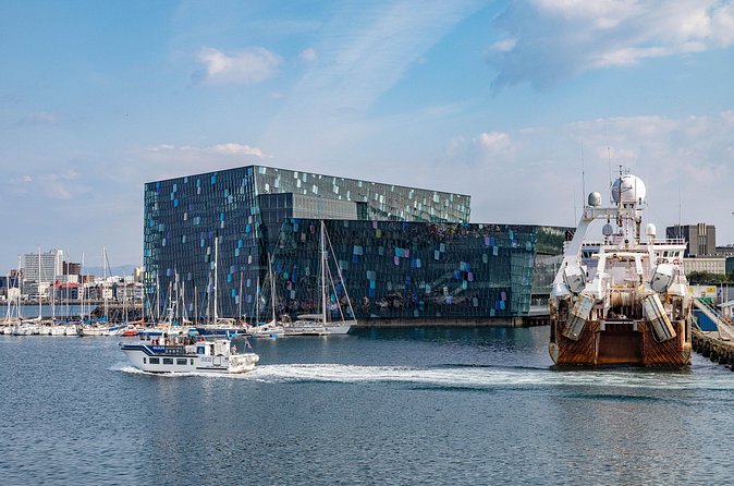 Cruise Port Private Transfer to Keflavik Airport - Price and Value: When $204.50 Per Group Makes Sense