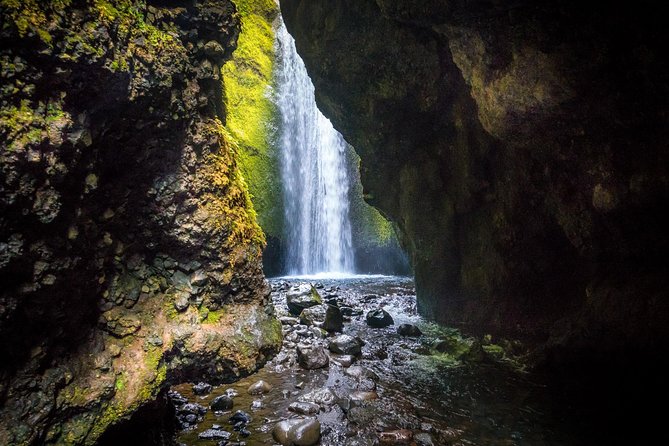 Day Trip to the Hidden Valley of Thor Thorsmork from Reykjavik - Nauthúsagil Waterfall Walk: The Narrow Ravine With Rowan Tree “Roof” Vibes