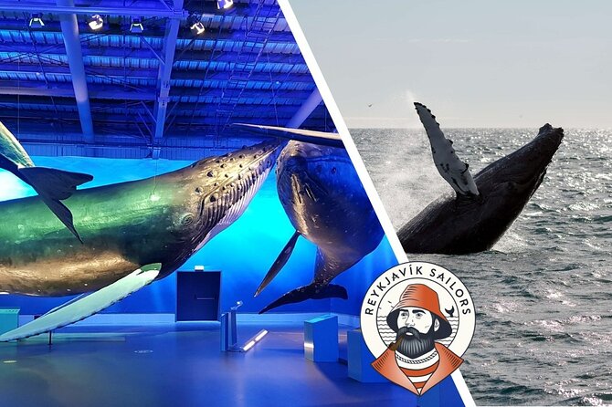 Deluxe Whale Watching and Whales of Iceland Exhibition Combo from Reykjavik - Should you book this Reykjavik whale-watching + museum combo?