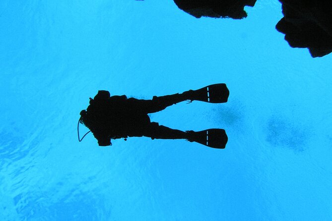 Dive the Divide: Silfra Fissure Scuba Tour | Meet at Thingvellir - Price and value: what you pay for (and what you don’t)