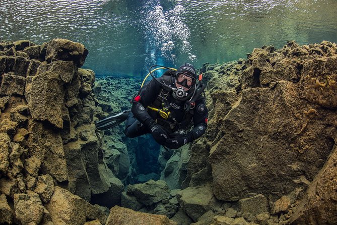 Dive the Divide: Silfra Fissure Scuba Tour | Reykjavik Pickup - Who should book this and who should think twice