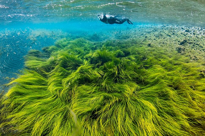 Double Snorkeling Adventure near Húsavík in North Iceland - Key highlights you’ll care about