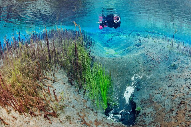 Double Snorkeling Adventure near Húsavík in North Iceland - The 10:00 start at Skúlagarður and a small-group setup