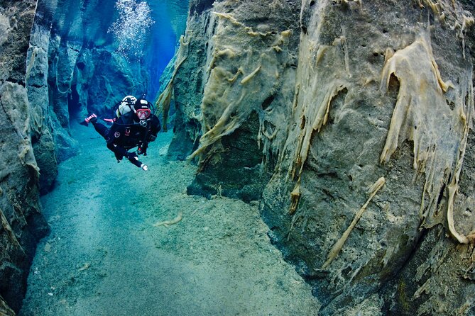 Double Snorkeling Adventure near Húsavík in North Iceland - Photos and chat time after your second snorkel