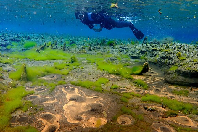 Double Snorkeling Adventure near Húsavík in North Iceland - Gear-up at DIVE.IS: warm dry suits and a PADI instructor briefing