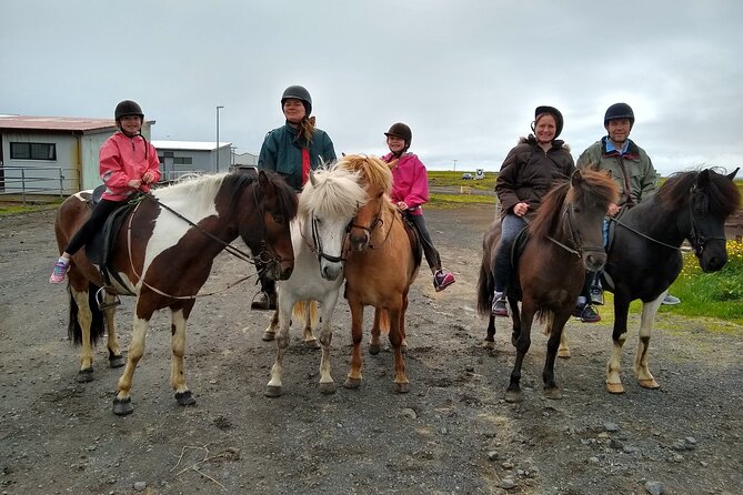Experience Countryside of Iceland by Horseback Riding - How the 3-hour timing works (and why transfers matter)
