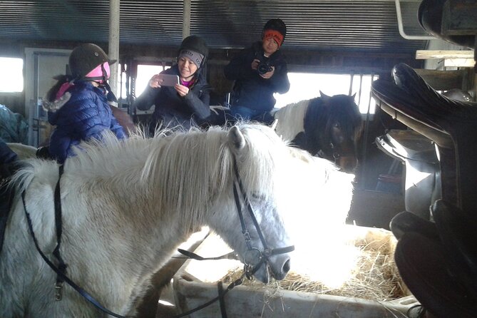 Family Horse Riding Tour in Thorlakshofn - Key Highlights