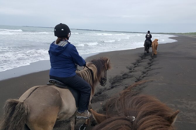 Family Horse Riding Tour in Thorlakshofn - From Þorlákshöfn to Krýsuvík: What the Ride Feels Like