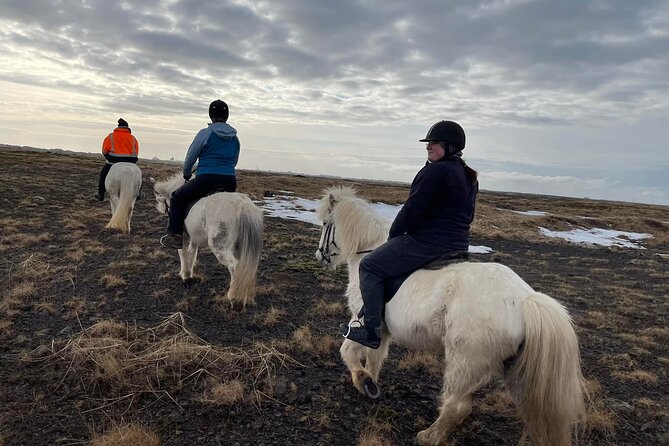Family Horse Riding Tour in Thorlakshofn - Small Group Size: Why Max 12 Changes the Experience