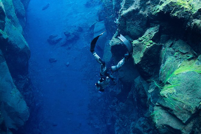 Freedive Silfra Half Day Tour - Key things that make this Silfra experience work