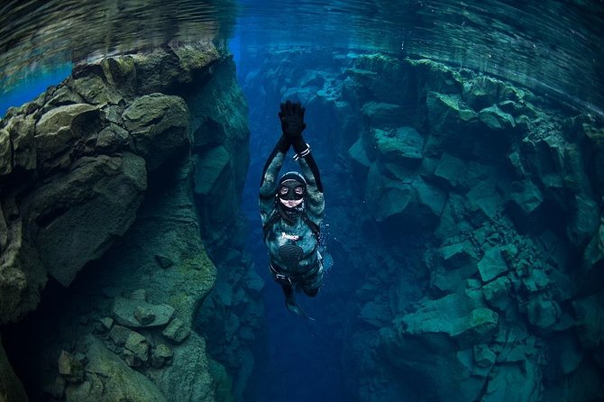 Freedive Silfra Half Day Tour - Price and logistics: what $233.50 really buys you
