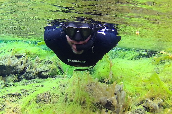 Freedive Silfra Half Day Tour - How the guide makes this feel easy (even when it’s not)