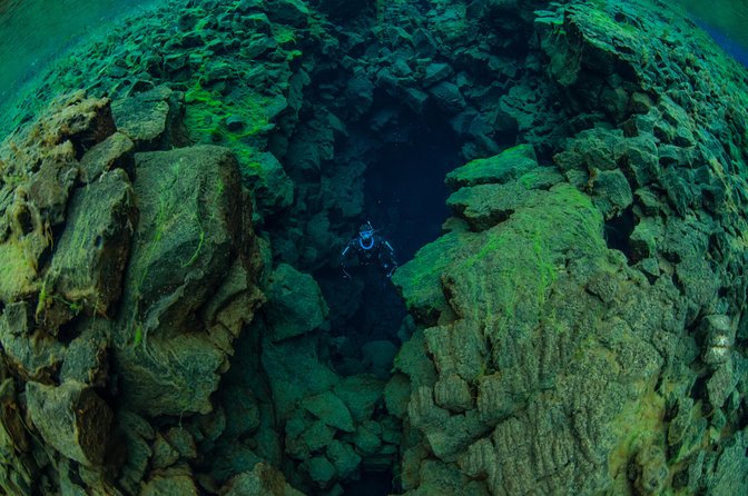 Freedive Silfra Half Day Tour - What’s included vs. what you should bring