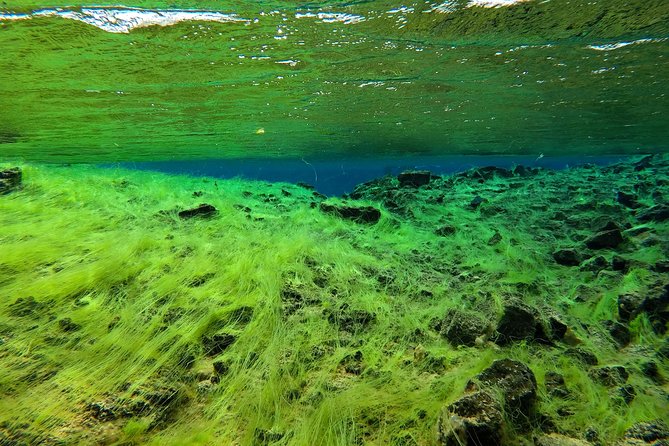 Freedive Silfra Half Day Tour - Meeting at Vallarvegur: the briefing that sets your pace