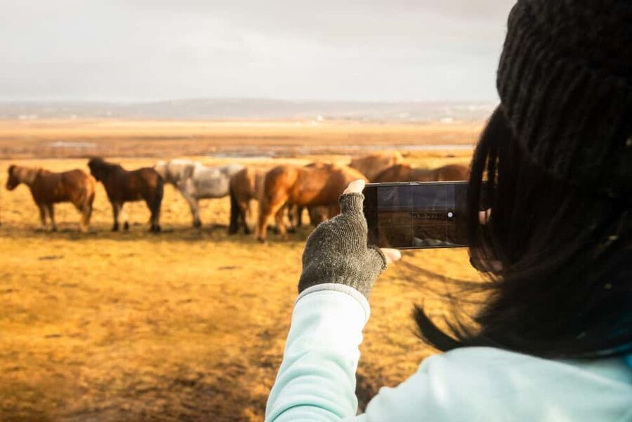 From Reykjavik: 3-Day Northern Lights Hunt & Glacier Lagoon - Northern Lights expectations: how the hunt works in practice