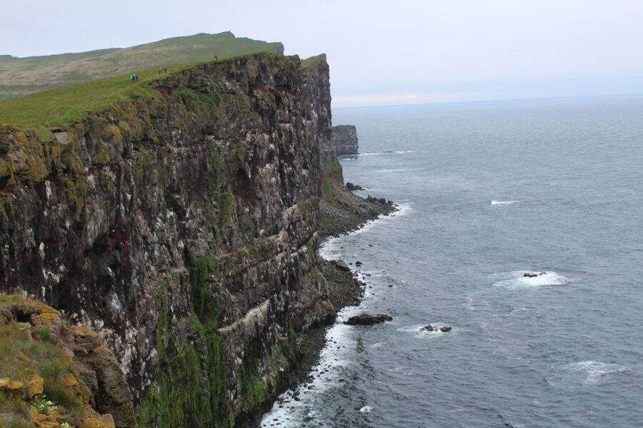 From Reykjavík: 3-Day Tour of the Wild Westfjords - What’s Included (and What You’ll Need to Budget for)