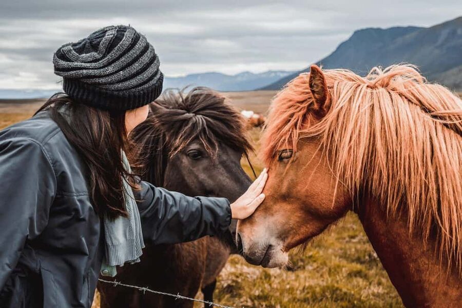 From Reykjavík: 5-Day Northern Lights Hunt & Glacier Lagoon - Why this 5-day mix of waterfalls and glaciers works from Reykjavík